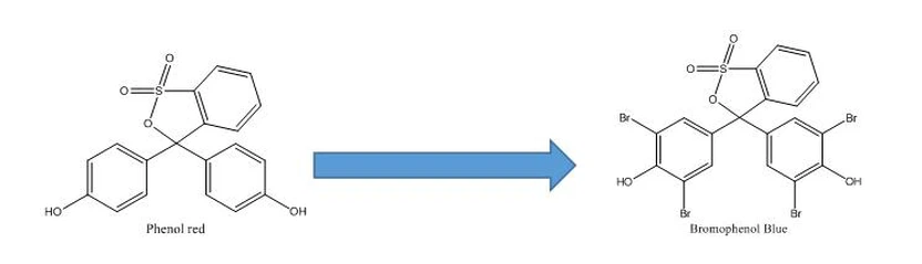 bromo blue synthesis | Shaanxi BLOOM Tech Co., Ltd bromo blue synthesis | Shaanxi BLOOM Tech Co., Ltd