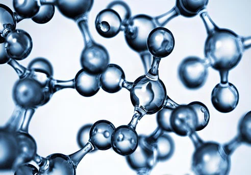 D-Mannitol-use | Shaanxi BLOOM Tech Co., Ltd D-Mannitol-use | Shaanxi BLOOM Tech Co., Ltd