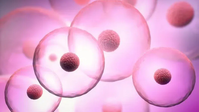 SLU-PP-332 peptide | Shaanxi Bloom Tech SLU-PP-332 peptide | Shaanxi Bloom Tech