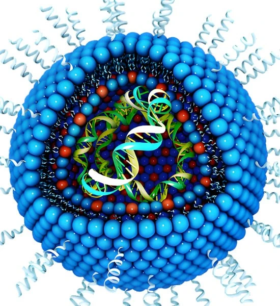 Bioglutide NA-931 Cost | Shaanxi BLOOM Tech Co., Ltd Bioglutide NA-931 Cost | Shaanxi BLOOM Tech Co., Ltd