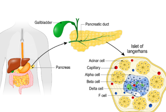 Semaglutide Buy | Shaanxi BLOOM Tech Co., Ltd Semaglutide Buy | Shaanxi BLOOM Tech Co., Ltd