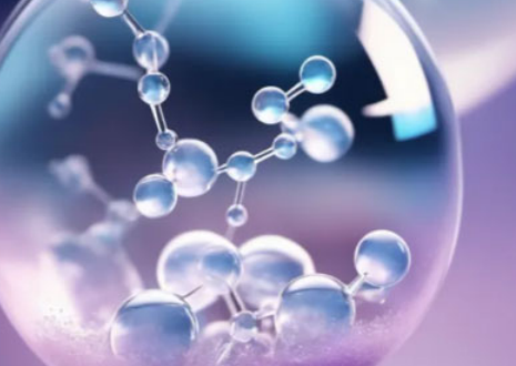 Spermidine Online | Shaanxi BLOOM Tech Co., Ltd Spermidine Online | Shaanxi BLOOM Tech Co., Ltd