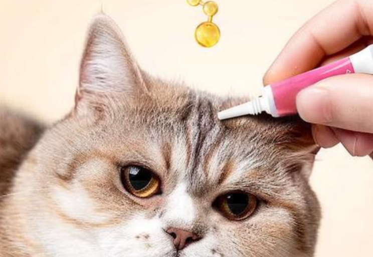 Fluralaner Drops Buy | Shaanxi BLOOM Tech Co., Ltd Fluralaner Drops Buy | Shaanxi BLOOM Tech Co., Ltd