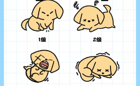 GS-441524 fip for cats | Shaanxi BLOOM Tech Co., Ltd GS-441524 fip for cats | Shaanxi BLOOM Tech Co., Ltd