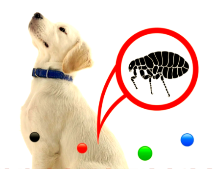 Fluralaner Buy | Shaanxi BLOOM Tech Co., Ltd Fluralaner Buy | Shaanxi BLOOM Tech Co., Ltd