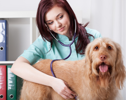 Fluralaner Cost | Shaanxi BLOOM Tech Co., Ltd Fluralaner Cost | Shaanxi BLOOM Tech Co., Ltd