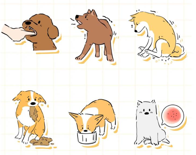 Fluralaner 500mcg | Shaanxi BLOOM Tech Co., Ltd Fluralaner 500mcg | Shaanxi BLOOM Tech Co., Ltd