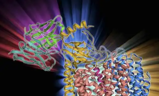 SLU-PP-332 price | Shaanxi BLOOM Tech Co., Ltd SLU-PP-332 price | Shaanxi BLOOM Tech Co., Ltd