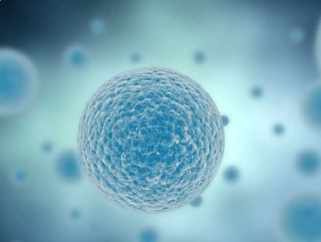 SLU-PP-332 for sale | Shaanxi BLOOM Tech Co., Ltd SLU-PP-332 for sale | Shaanxi BLOOM Tech Co., Ltd