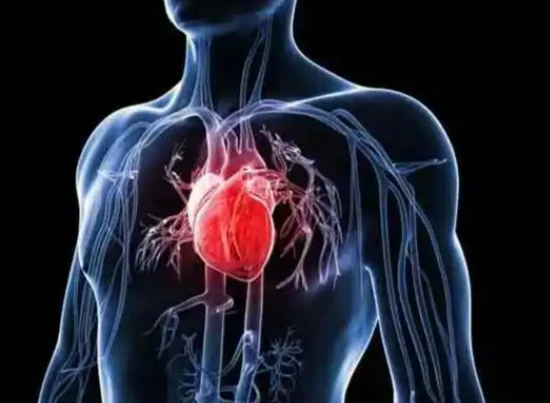 Bioglutide NA-931 metabolic syndrome | Shaanxi BLOOM Tech Co., Ltd Bioglutide NA-931 metabolic syndrome | Shaanxi BLOOM Tech Co., Ltd