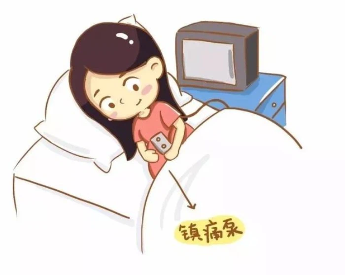 782b1db8e276e3b092560867b6a086ce 782b1db8e276e3b092560867b6a086ce