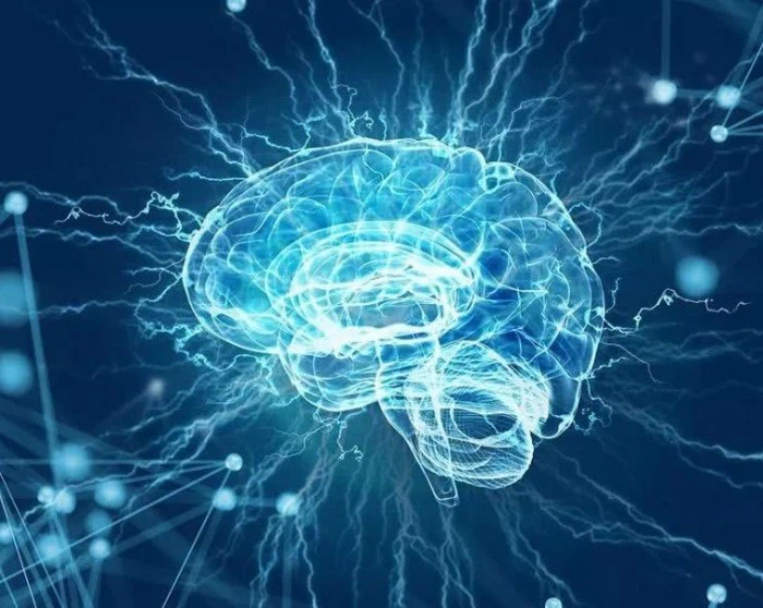 25f08d3e4c222dba62503e86d356a610 25f08d3e4c222dba62503e86d356a610