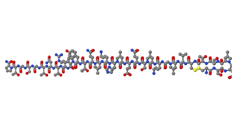 Calcitonin salmon structure | Shaanxi BLOOM Tech Co., Ltd Calcitonin salmon structure | Shaanxi BLOOM Tech Co., Ltd