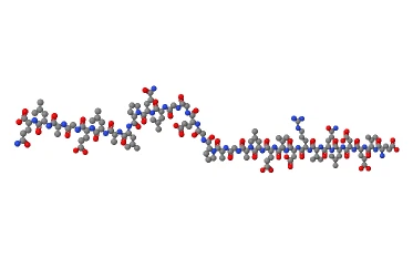 C Peptide CAS 39016-05-2 | Shaanxi BLOOM Tech Co., Ltd C Peptide CAS 39016-05-2 | Shaanxi BLOOM Tech Co., Ltd
