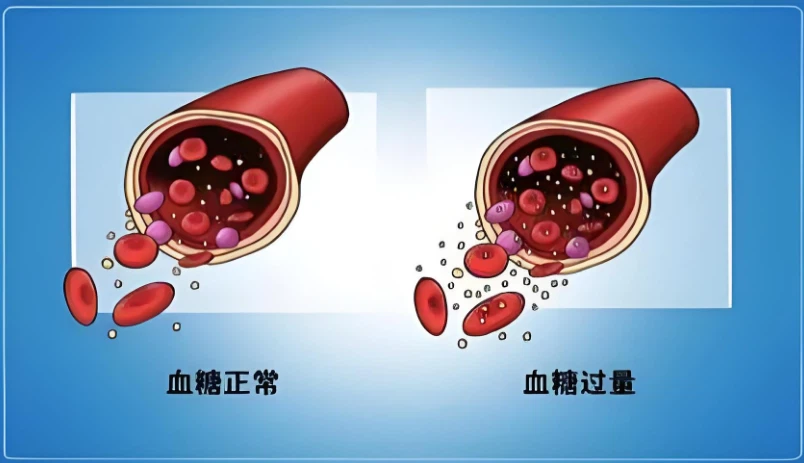 C Peptide CAS 39016-05-2 | Shaanxi BLOOM Tech Co., Ltd C Peptide CAS 39016-05-2 | Shaanxi BLOOM Tech Co., Ltd