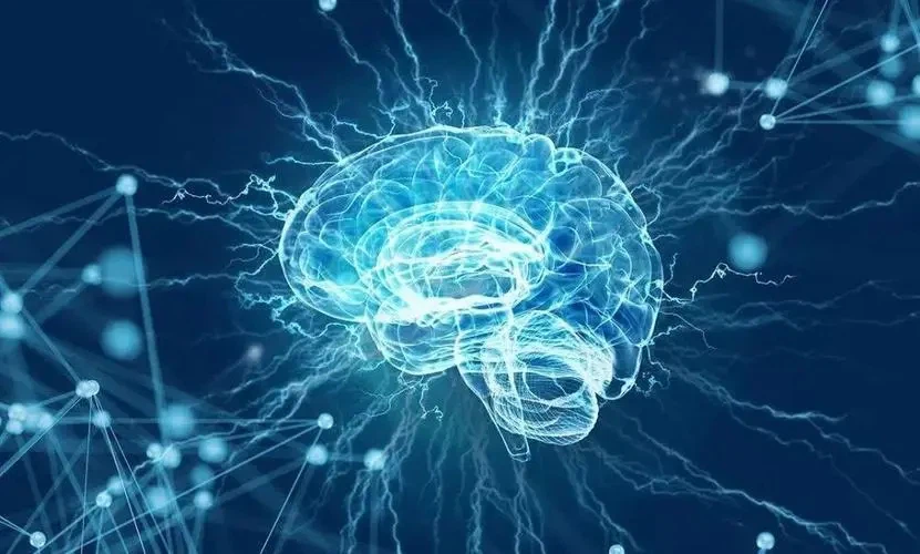 C Peptide CAS 39016-05-2 | Shaanxi BLOOM Tech Co., Ltd C Peptide CAS 39016-05-2 | Shaanxi BLOOM Tech Co., Ltd